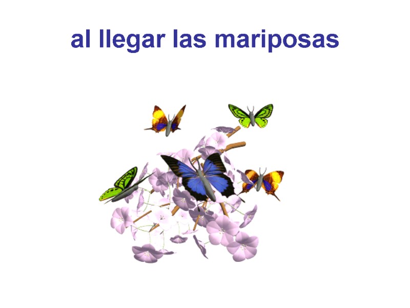 al llegar las mariposas